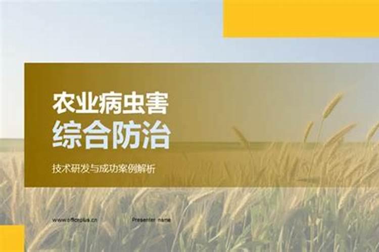守护食用菌的绿色长城：病虫害综合防治策略