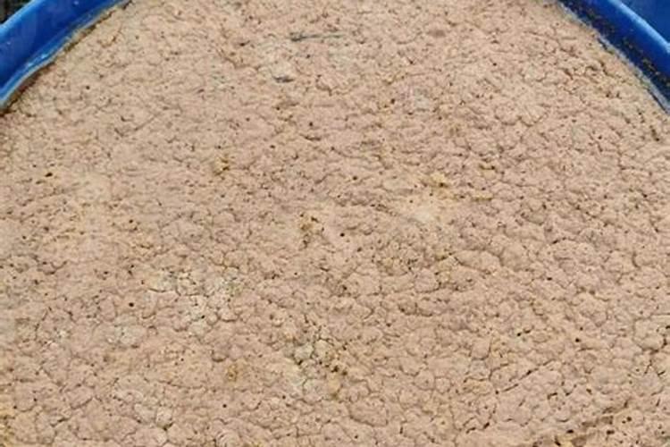 花生麸：自然农业的黄金肥料