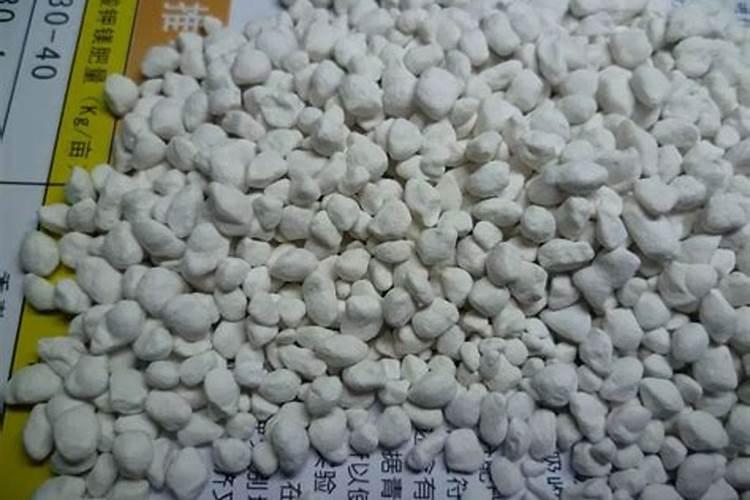 马铃薯如何施用钾肥？施用钾肥都有哪些好处呢？