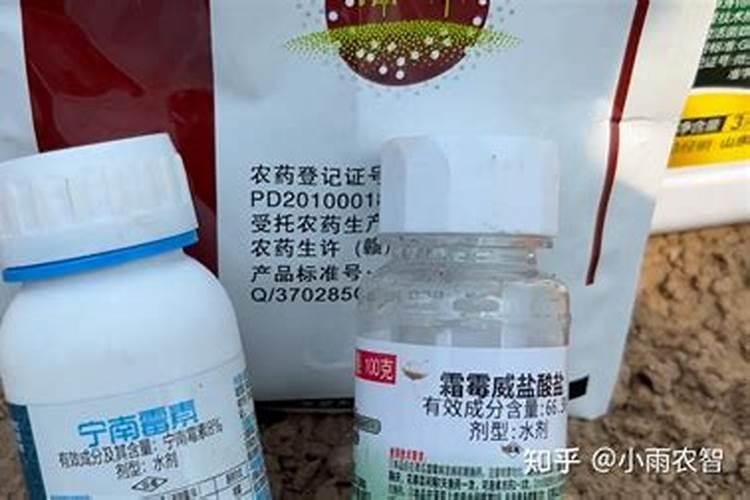 西红柿定植前用什么药剂蘸穴盘？