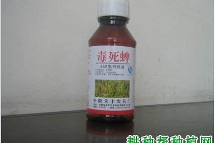 警惕！毒死蜱混用禁忌农药一览？