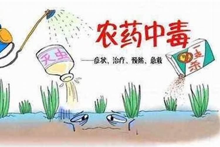 如何避免农药中毒？