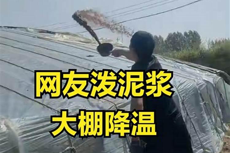 棚里高温惹祸多泼点泥浆就解决？