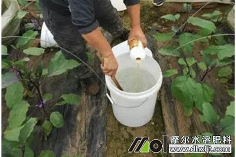 冲施肥几天后失去肥效