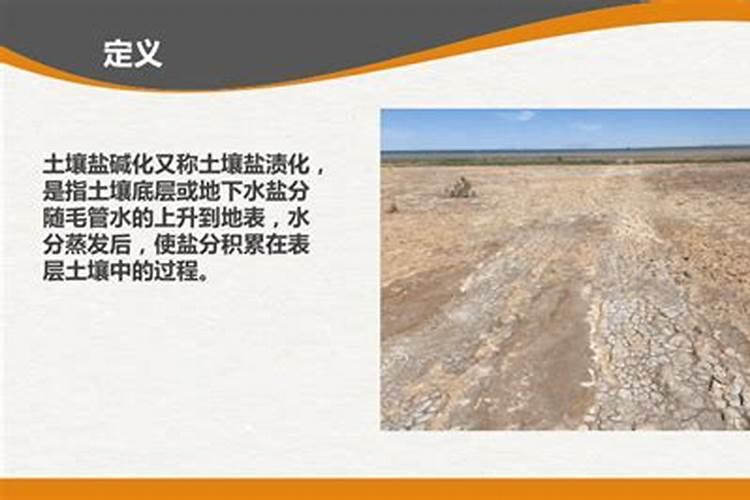 土地盐碱化怎么办？