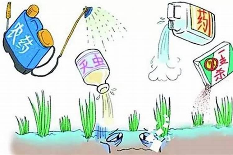 种子处理：高毒农药的安全与有效应用