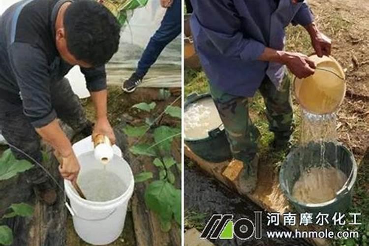 水溶肥多久能吸收