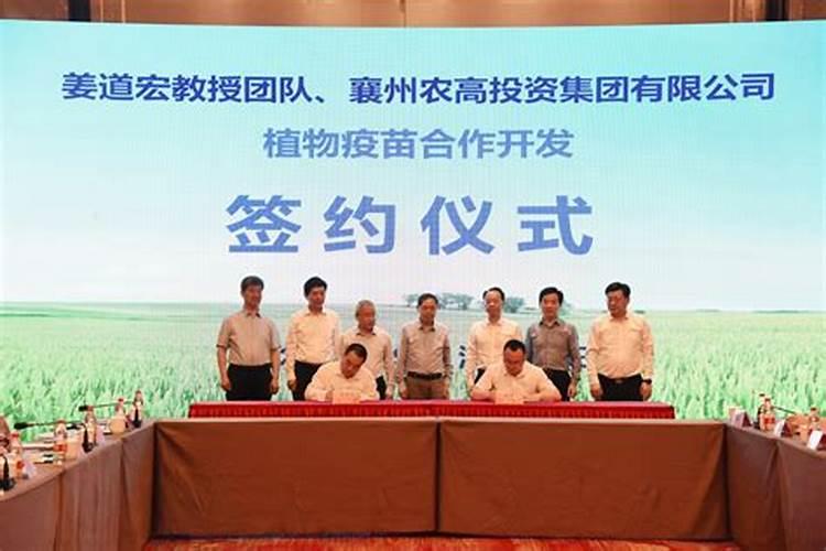 绿色增产：科学用药促进小麦丰收