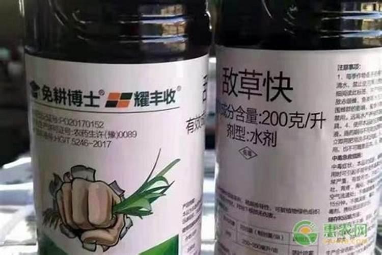除草剂有哪些使用方法与危害影响