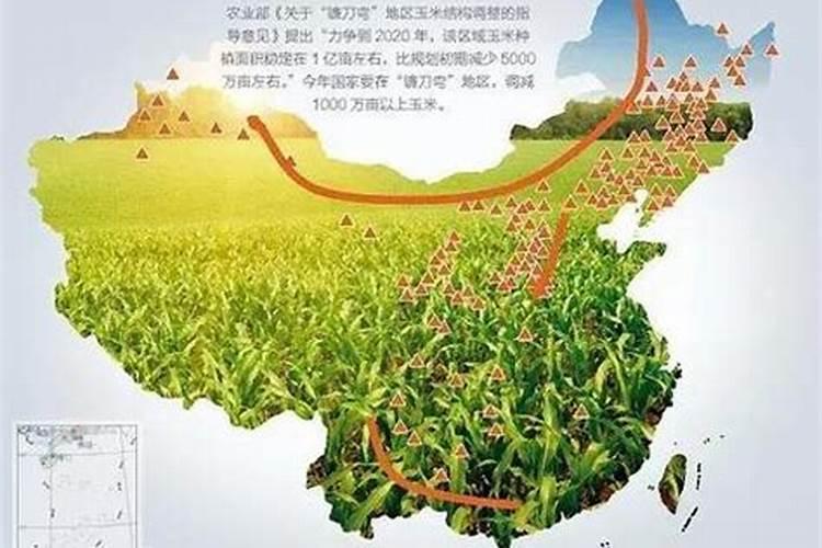 山西的气候和地貌,基本上应该种植什么<a href=