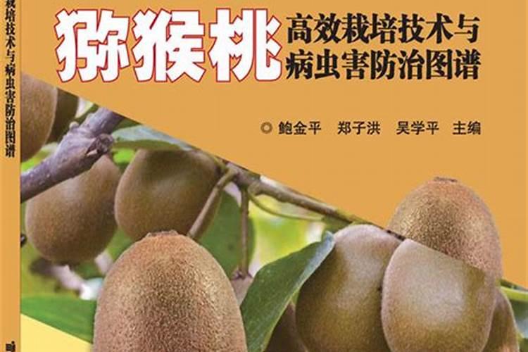黄桃幼树栽培管理技术及病虫害防治：从入门到精通