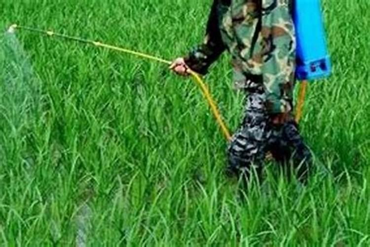 微生物农药误区,你都有哪些了解呢？