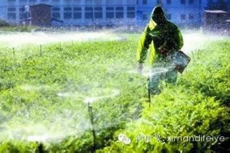 掌握微生物农药正确使用方法，守护绿色农业未来？