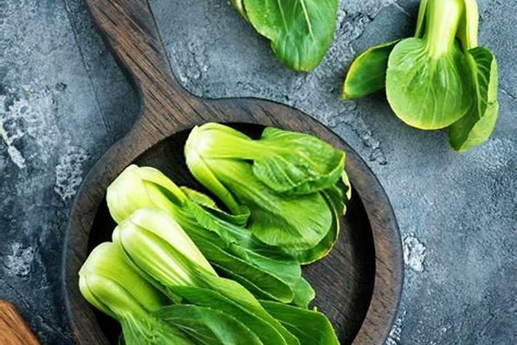 大白菜三大病害防治