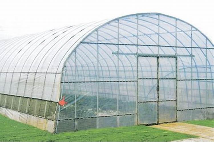 东北大棚养殖怎么解决滴水温室大棚滴水严重怎么办