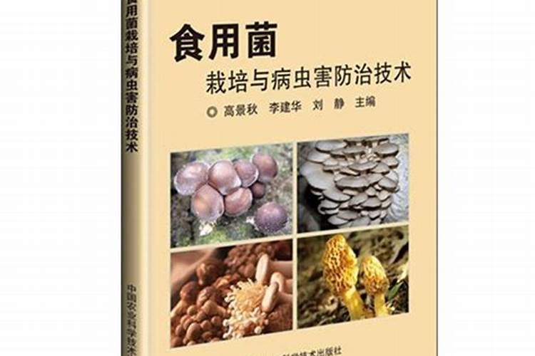 食用菌病虫害的智慧农药防治：规则与实践