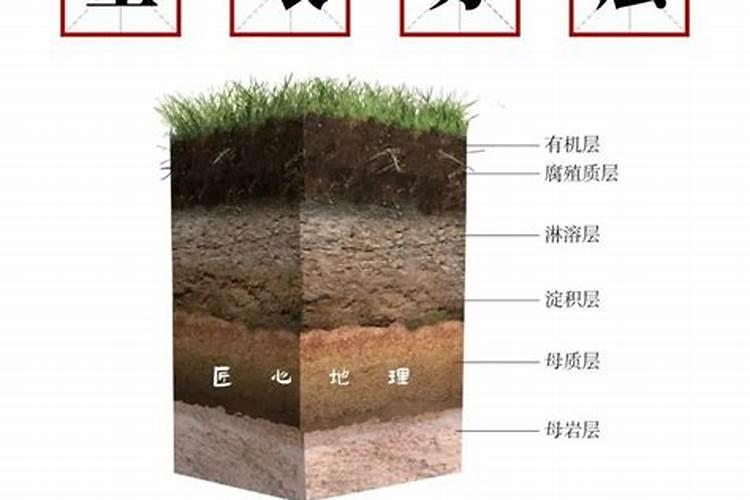 土壤质地名词解释是什么？