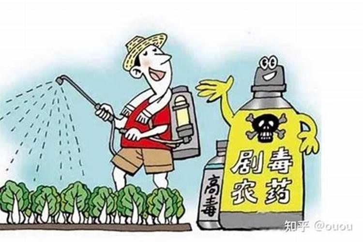 有机磷农药中毒的紧急应对与预防策略