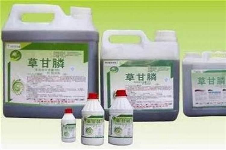 提升除草剂效果的关键策略？
