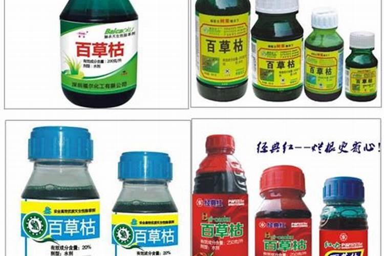 百草枯中毒：生死一线间的生存挑战