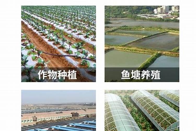 生产无公害农产品允许施用哪些肥料？