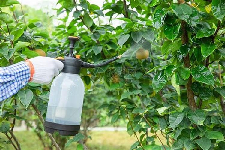 守护果园：果树生物农药的绿色卫士