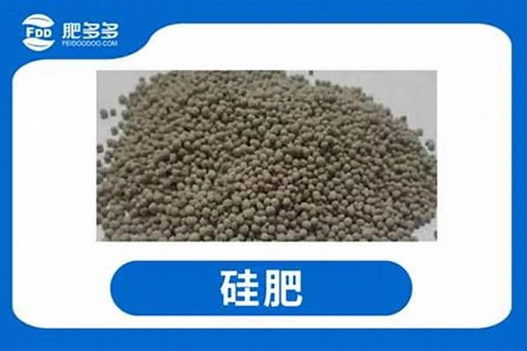 济南蔬菜硅肥生产厂家有哪些？