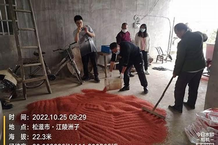 药种同行，守护金色丰收——药剂拌种在小麦病虫害防治中的应用