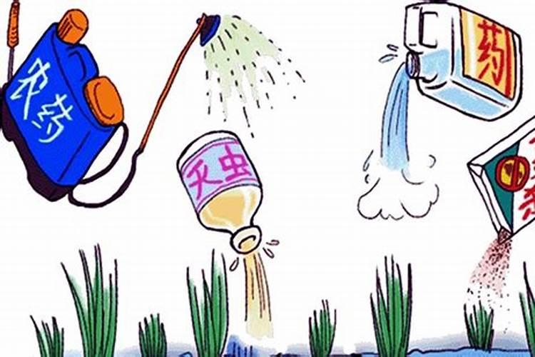农药选择指南：品牌与适宜性解析