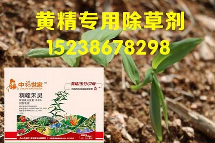 什么牌子的除草剂比较好