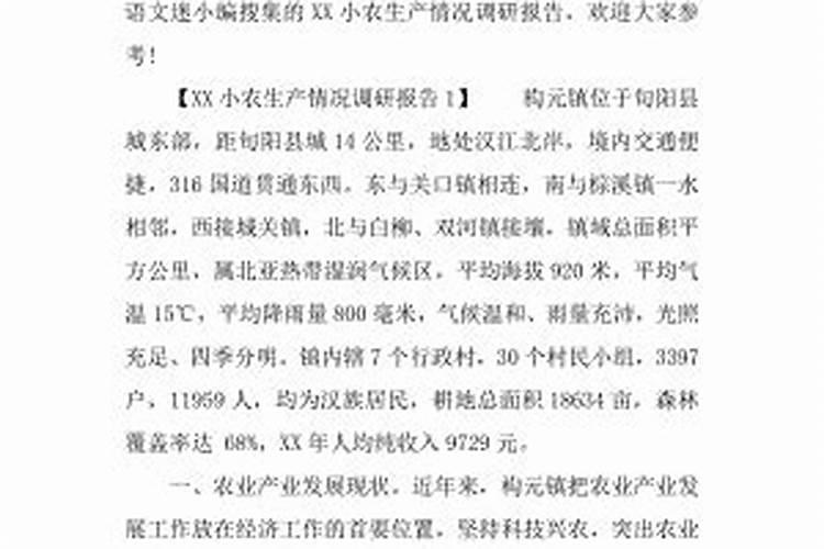 小农生产情况调研报告