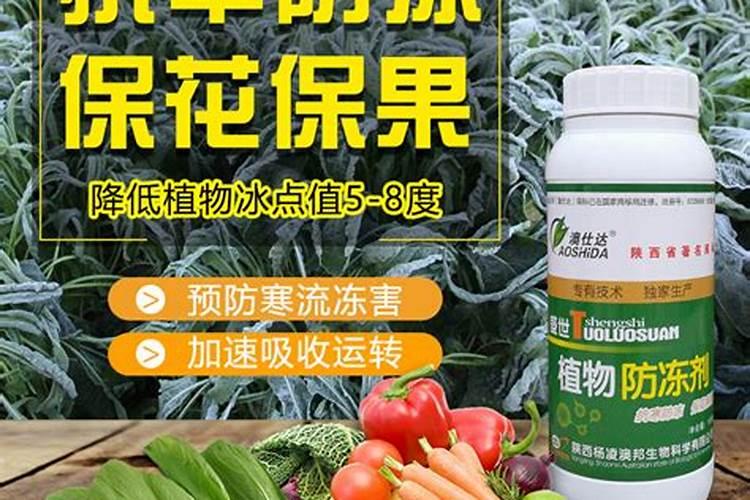 植物防冻剂作用机理,都有哪些？