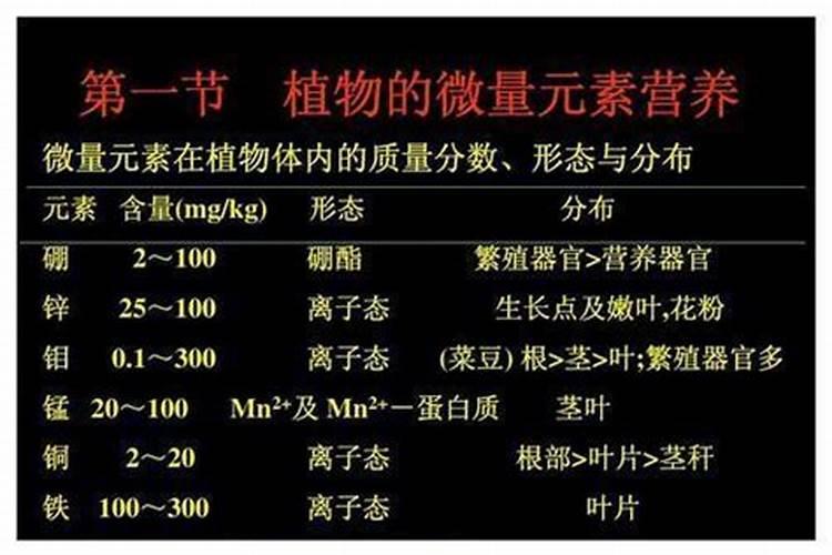为什么叶面喷施微量营养元素的效果好？