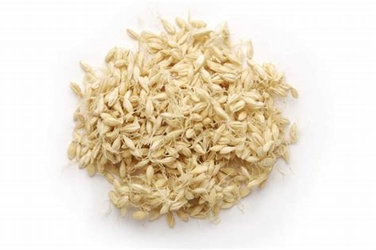 绿色守护：小麦干尖的防治策略与成因探究