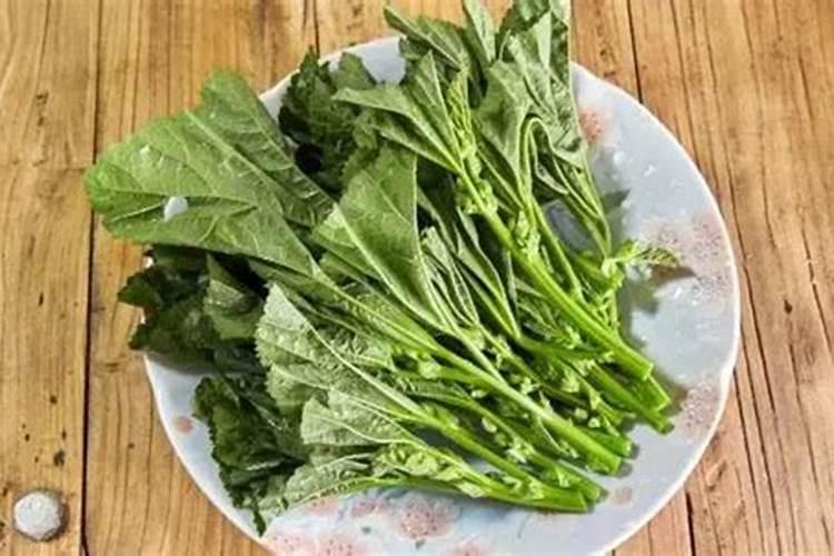 什么是冬寒菜怎样做才好吃又健康