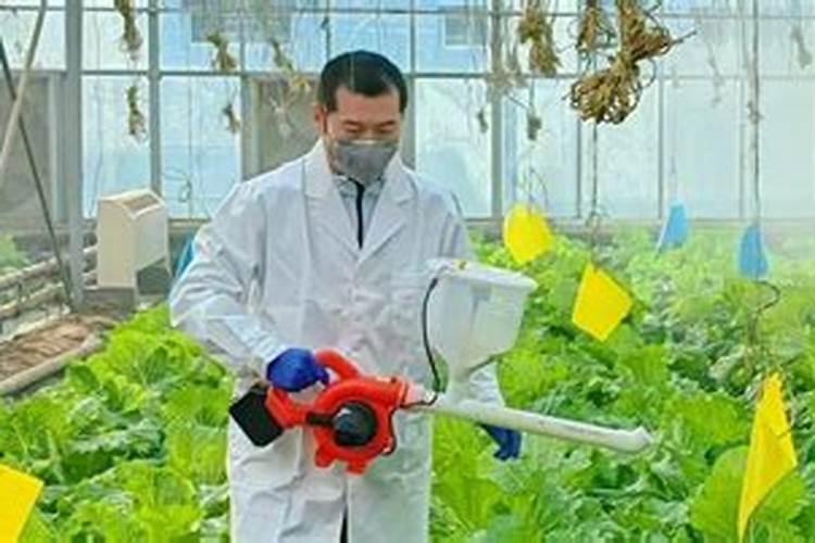 冬季守护：农药安全过冬的科学策略