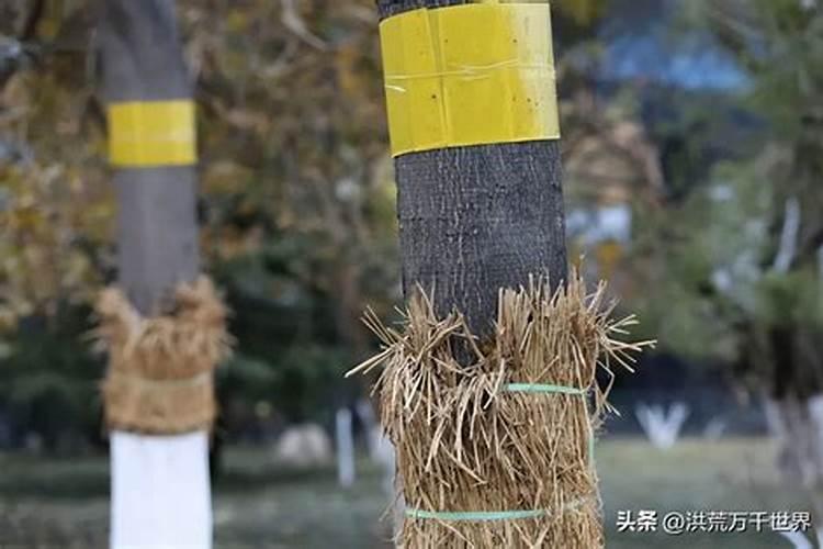 农药过冬有四忌,分别是什么？