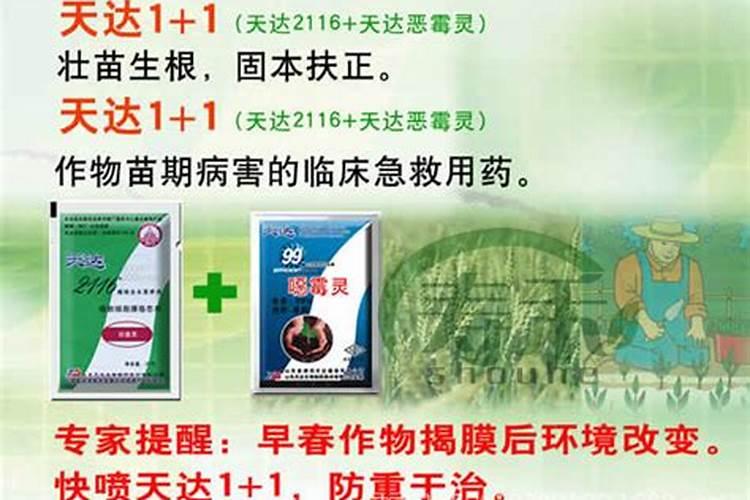 “天达2116”壮苗灵+天达恶霉灵的应用是怎样的？