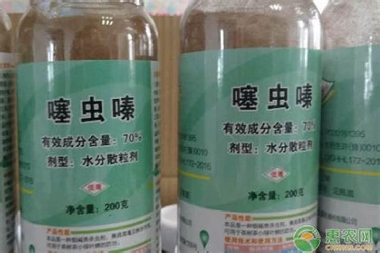 防治飞虱最好的农药