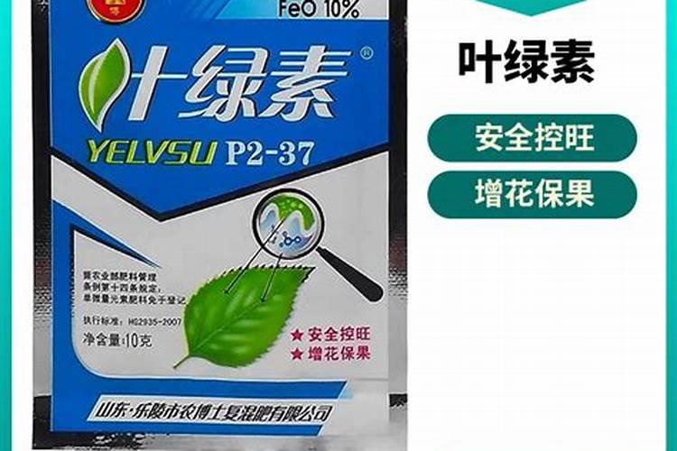 叶绿素控旺多久喷一次