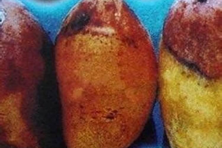 战胜果园之患：芒果蒂腐病的药剂防治全攻略