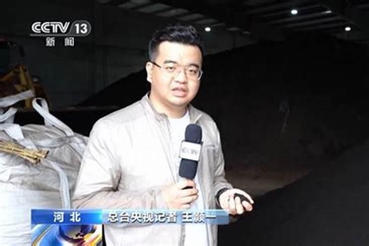 变废为宝：牛粪的华丽转身之旅