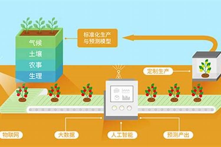 甜柿精准管理：迈向高效农业的新技术之路