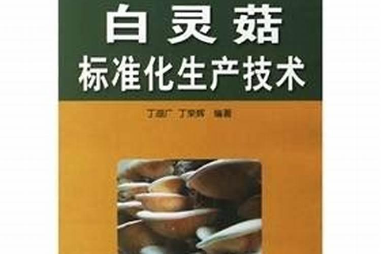 白灵菇标准化生产技术内容简介