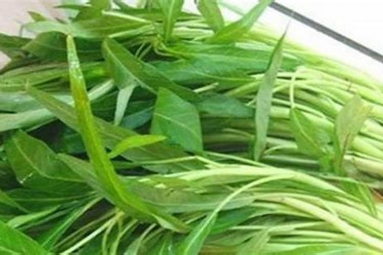 绿意盎然：掌握空心菜栽培技术要点，迈向健康农业之路