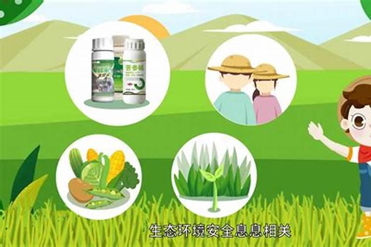 田野守护者的智慧：掌握农药使用常识
