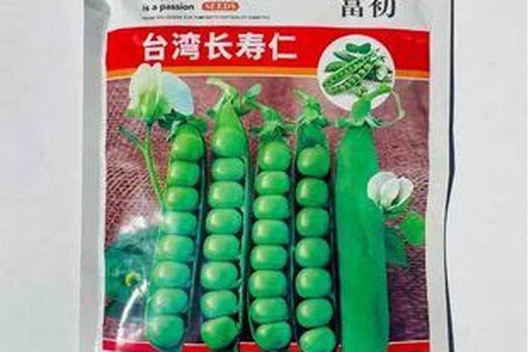 长寿仁豌豆开花期及结荚期是否会受雪及霜冻损害？