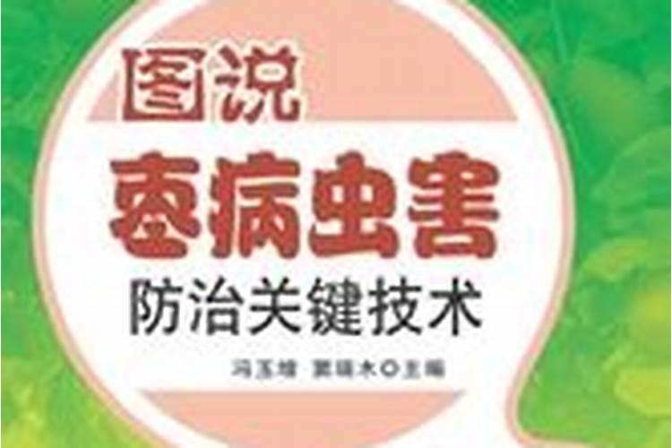 冬季枣树的守护者：缩果病防治技术全解析