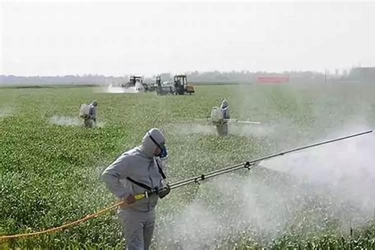 雨天喷施的农药：科学选择与实践指南