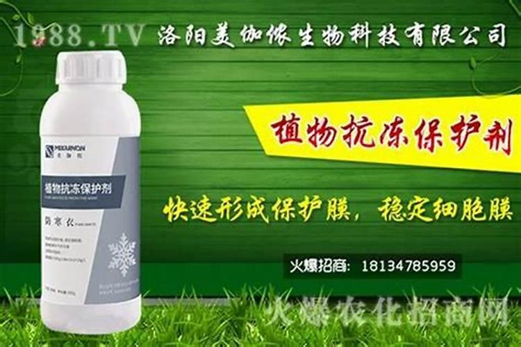 植物防冻剂是什么，有什么作用？
